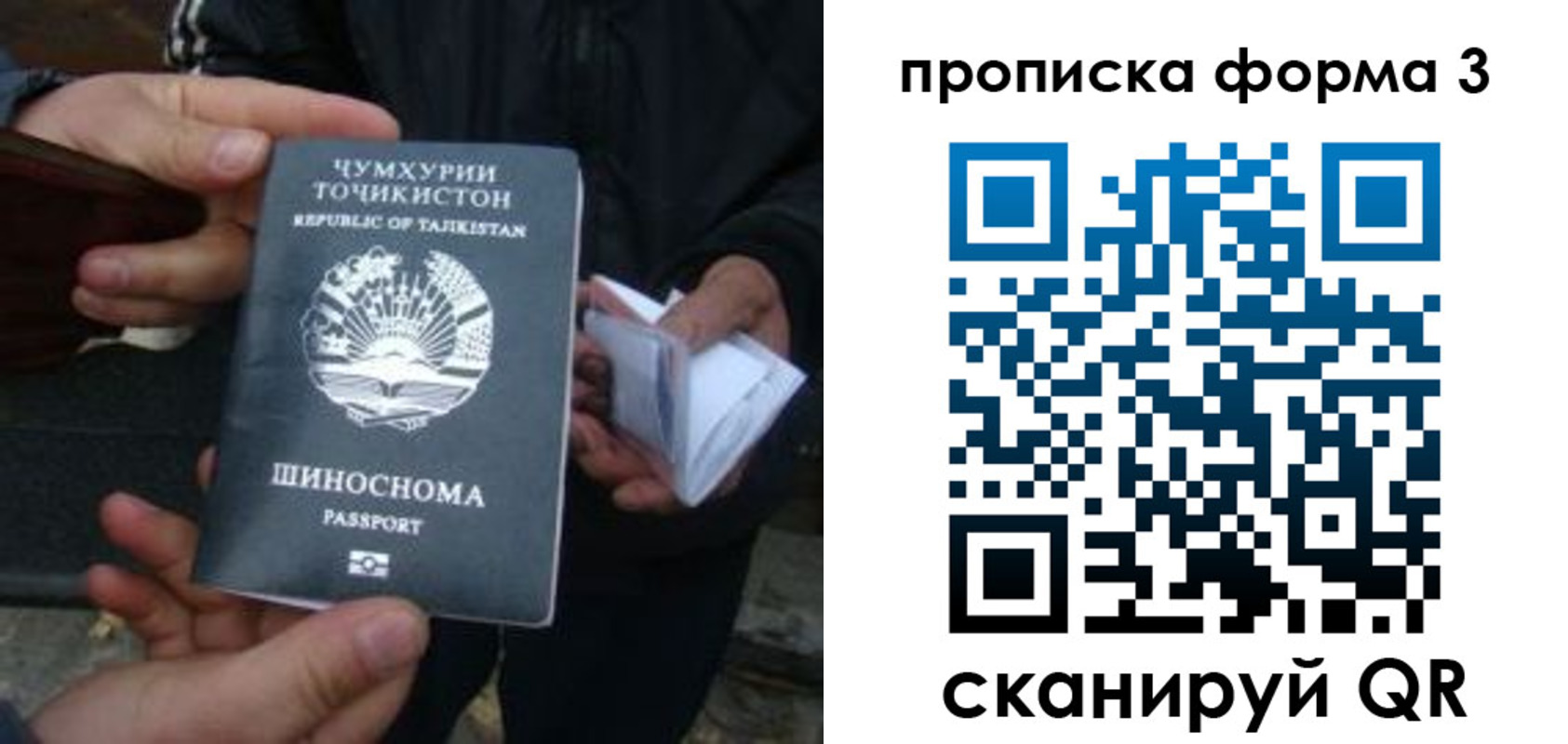 прописка 2025 в Шахунье